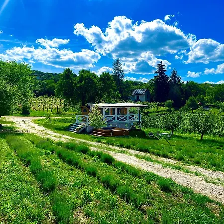 Tiny House At Balaton Chalet *